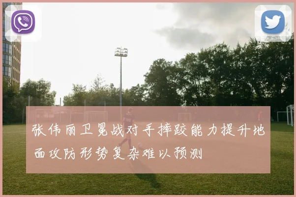 张伟丽卫冕战对手摔跤能力提升地面攻防形势复杂难以预测
